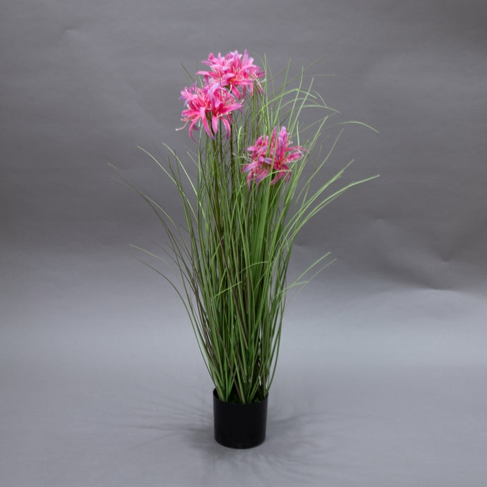 LONGJN-70CM PINK MAGI LILY GRASS (413252190)