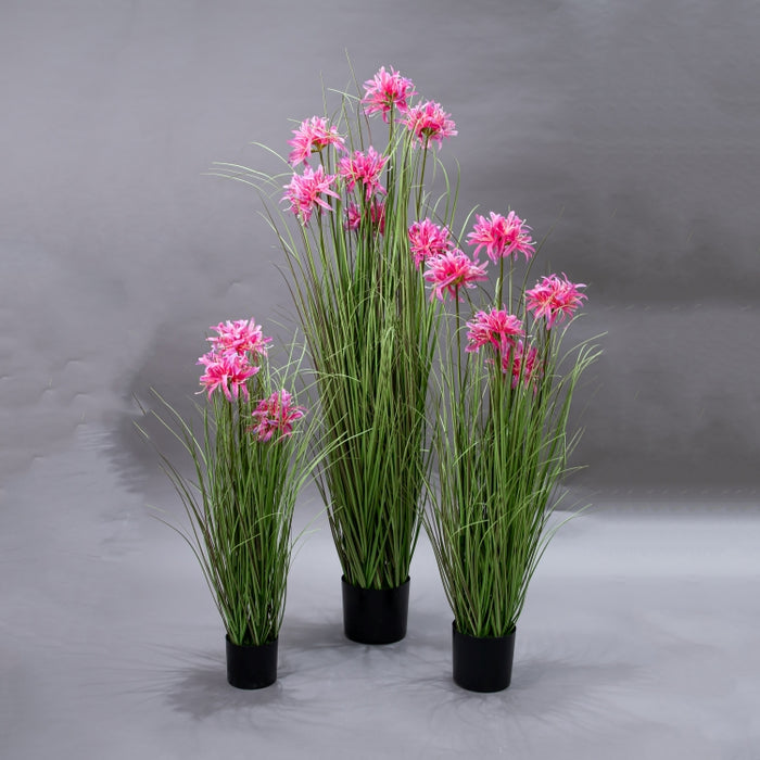 LONGJN-70CM PINK MAGI LILY GRASS (413252190)
