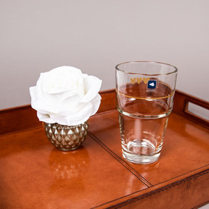 SOLO 1PC GLASS  TUMBLER 410ML HEARTS (202015832)