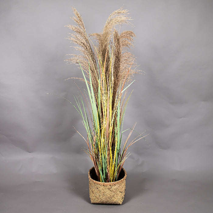 LONGJIN 60INCH DRIED PAMPAS GRASS WITH PLASTIC POT (413252063)