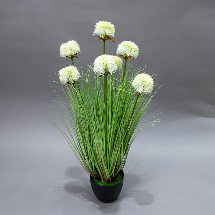 LONGJIN-75CM SUNFLOWER GRASS WHITE (413252215)