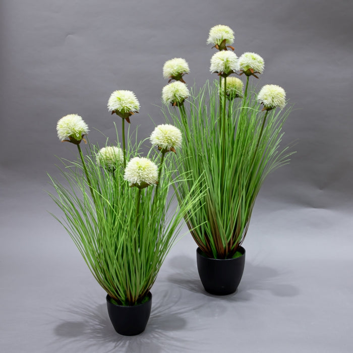 LONGJIN-60CM SUNFLOWER GRASS WHITE (413252214)