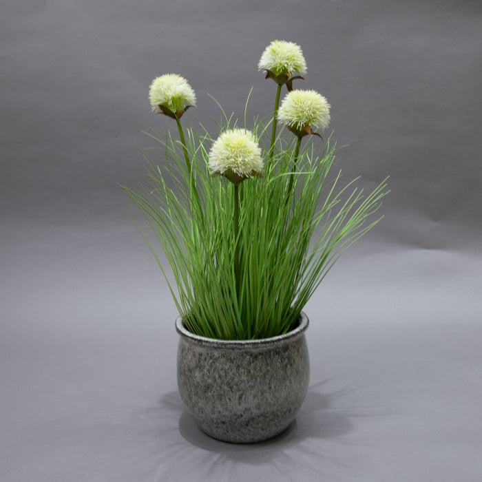 LONGJIN-60CM SUNFLOWER GRASS WHITE (413252214)