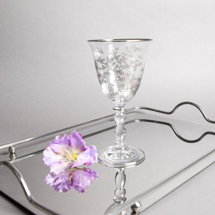 JUICE GOBLET SET/6PCS PLTN G1258/1P (202016503)