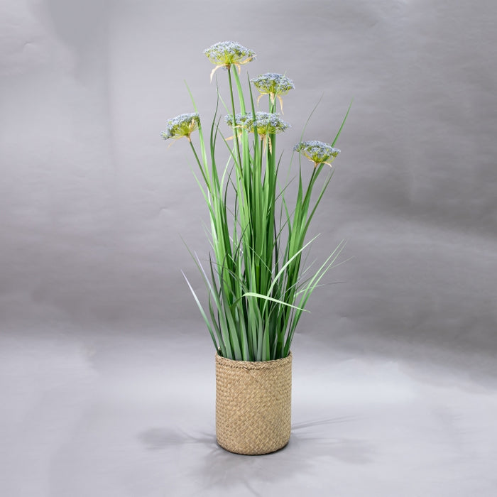 LONGJIN-120CM ANGELICA GRASS GRN (413252207)