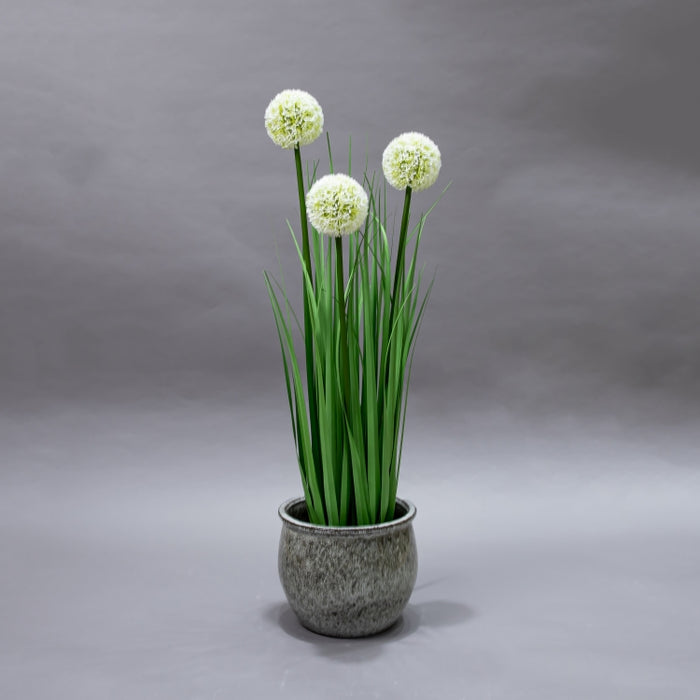 LONGJIN-80CM ALLIUM GRASS GREEN (413252199)