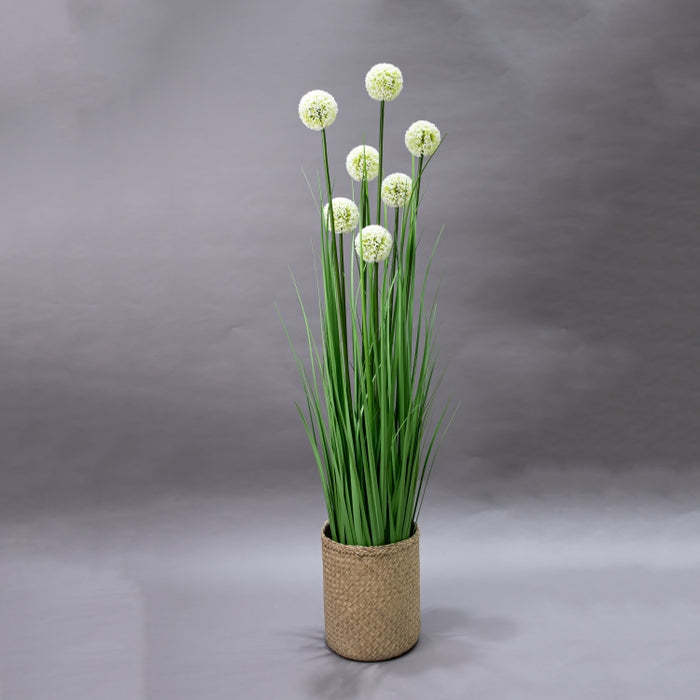 LONGJIN-140CM ALLIUM GRASS GREEN (413252201)