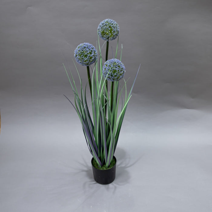LONGJIN-80CM ALLIUM GRASS PURPLE (413252196)