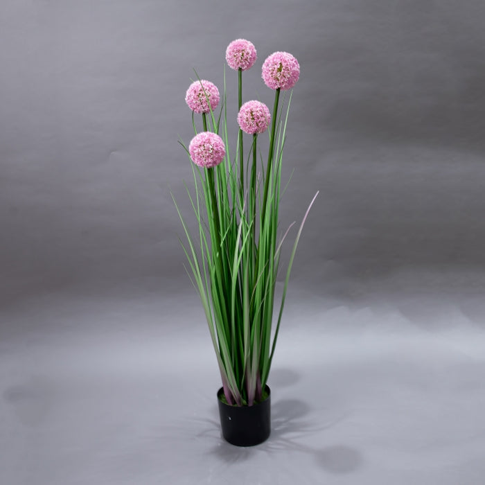 LONGJIN-110C ALLIUM GRASS PINK (413252194)