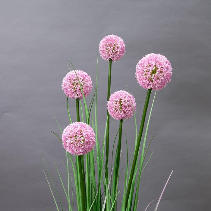 LONGJIN-110C ALLIUM GRASS PINK (413252194)