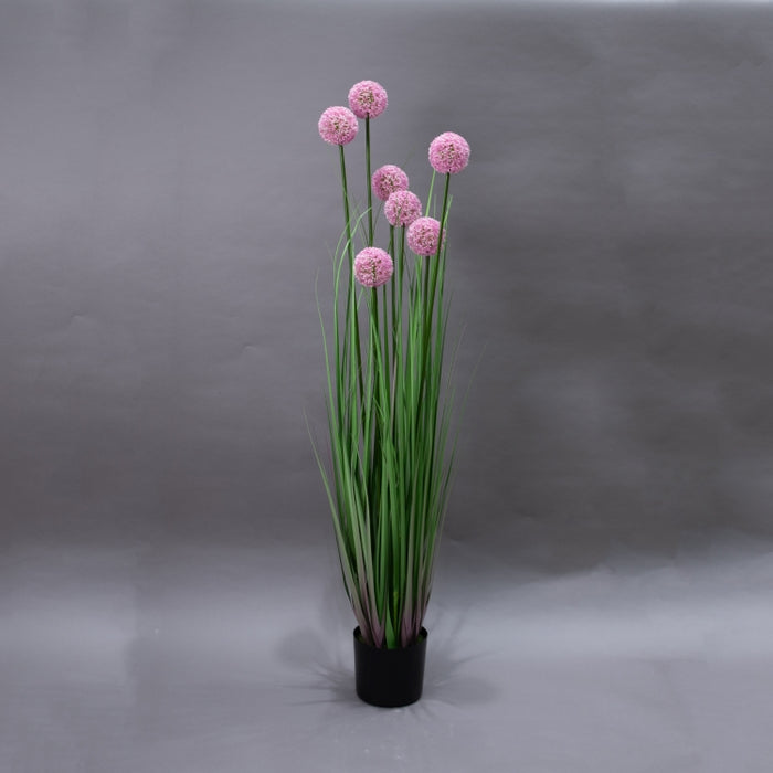 LONGJIN-140CM ALLIUM GRASS PINK (413252195)