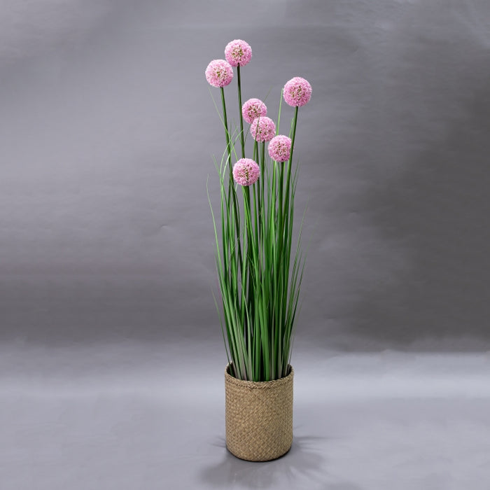 LONGJIN-140CM ALLIUM GRASS PINK (413252195)