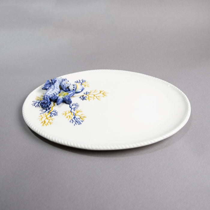 CORAL OVAL TRAY (202029243)