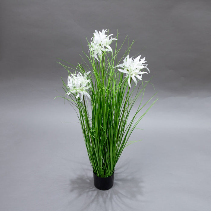 LONGJN-70CM WHITE MAGIC LILY GRASS (413252187)