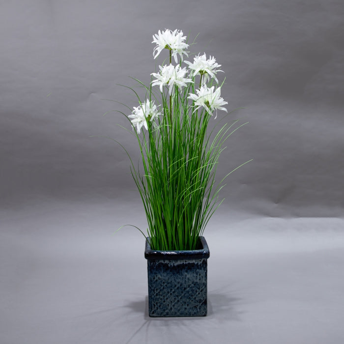 LONGJIN-90CM WHITE MAGIC LILY GRASS (413252188)
