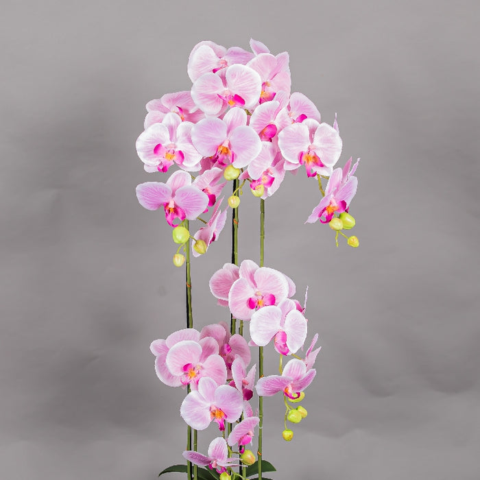 MEIRUI ORCHID WITH MOIST POT 115CM LIGHT PURPLE (413252072)