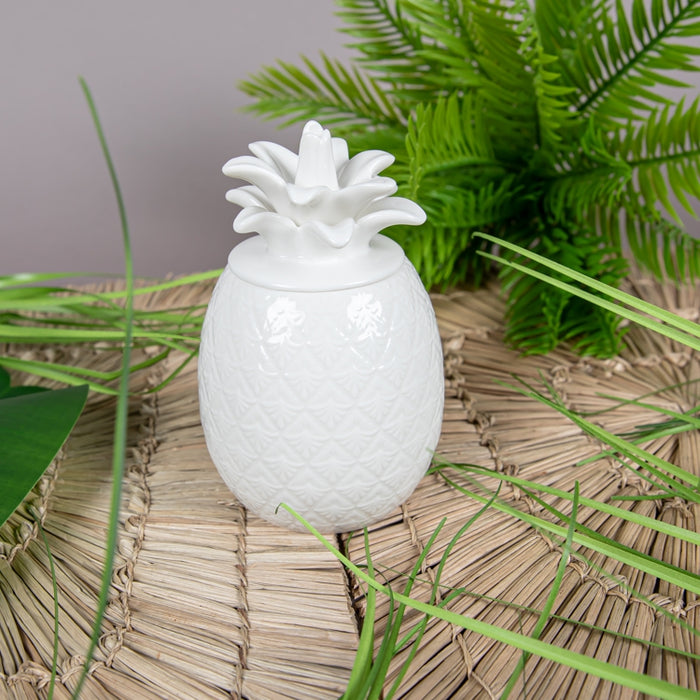 MADAGASCAR STORAGE JAR 9X9X15 WHITE (202073088)