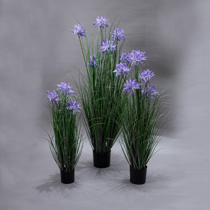 LONGJN-70CM PURPLE MAGIC LILLY GRASS (413252184)