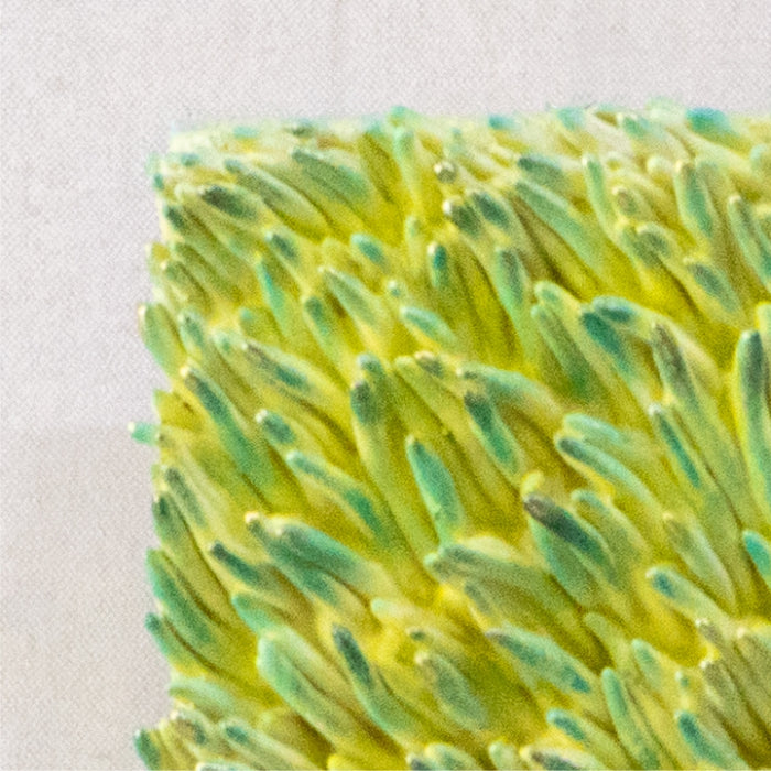 SOFTMOON SEA CORAL WALL 20.5X21 GREEN (418031202)