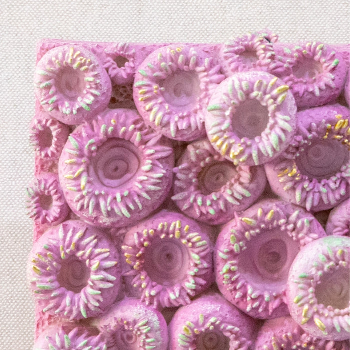 SOFTMOON SEA CORAL WALL PINK (418031204)