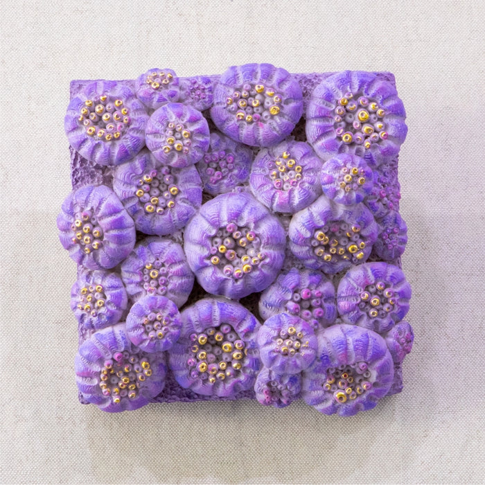 SOFTMOON CORAL WALL 21X21 PURPLE (418031205)